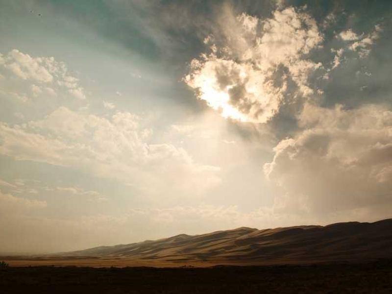 Les Nymphéas (Étude)